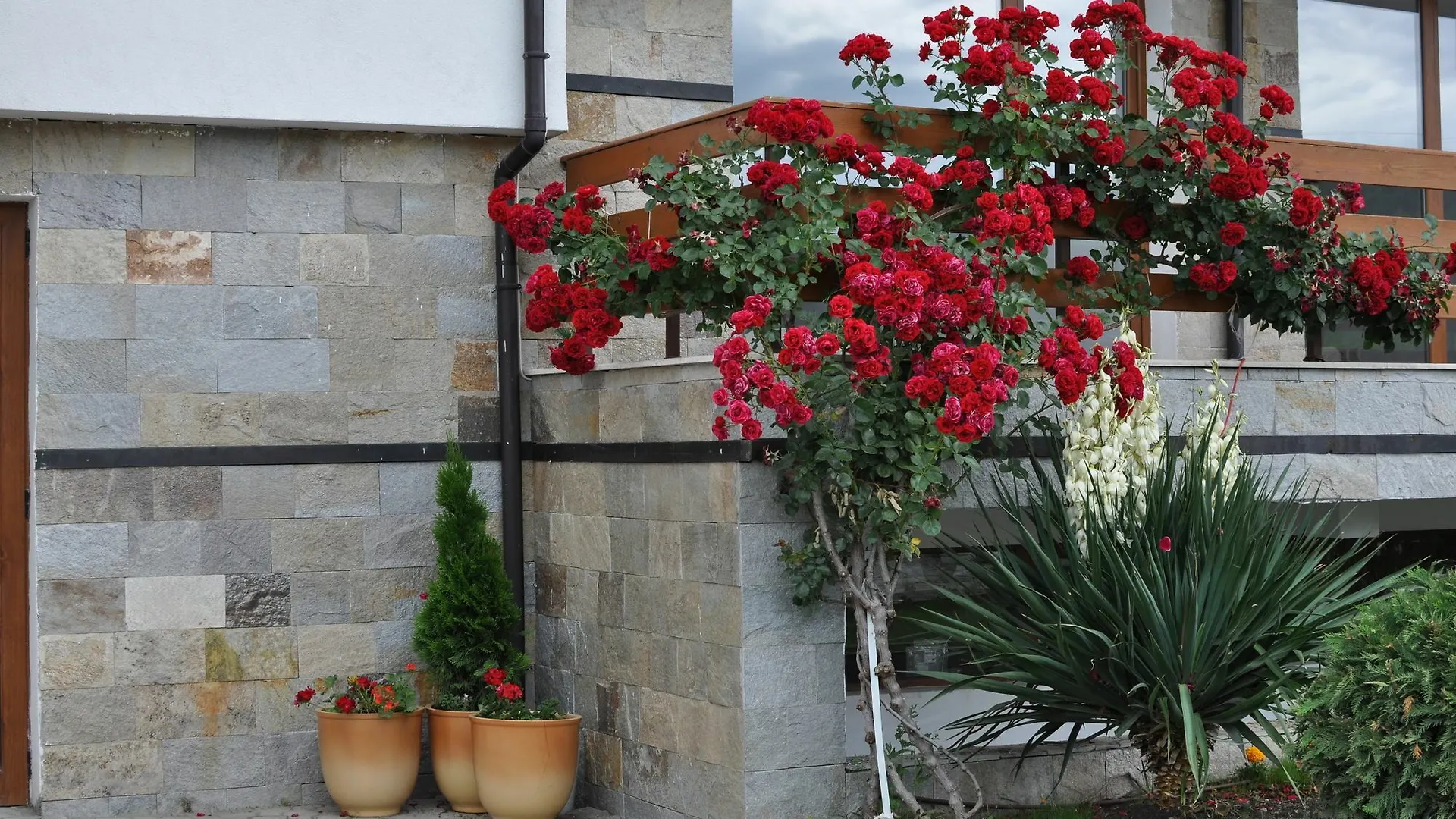 Gardenia Hills Hotel Sunny Beach